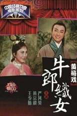 Poster de la película 牛郎织女