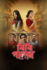 Poster de la película Bibi Payra