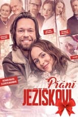 Poster de la película Přání Ježíškovi