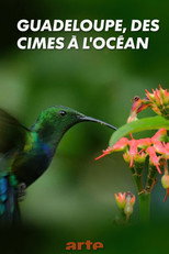 Poster de la película Guadeloupe, from Summits to Ocean