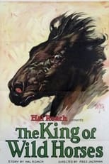 Poster de la película The King of the Wild Horses