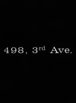 Poster de la película 498 Third Avenue
