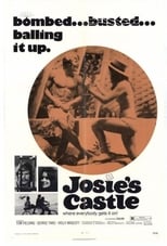 Poster de la película Josie's Castle