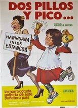 Poster de la película Dos pillos y pico