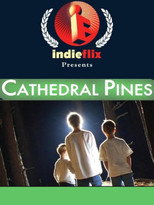 Poster de la película Cathedral Pines