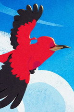Poster de la película Tiê