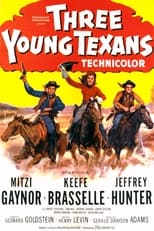 Poster de la película Three Young Texans