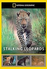 Poster de la película Stalking Leopards