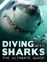 Poster de la película Diving with Sharks: The Ultimate Guide