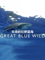 Great Blue Wild