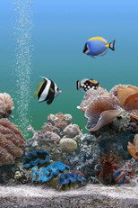 Poster de la película Coral Dreamscapes: An Exotic Aquarium