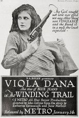 Poster de la película The Winding Trail