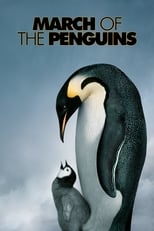 Poster de la película March of the Penguins