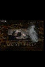 Poster de la serie Underbelly