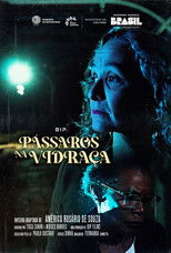 Poster de la película Pássaros na Vidraça