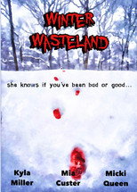 Poster de la película Winter Wasteland