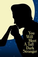 Poster de la película You Will Meet a Tall Dark Stranger