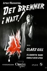Poster de la película Fire in the Night