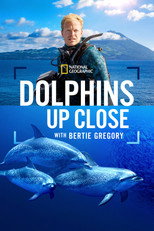 Poster de la película Dolphins Up Close with Bertie Gregory