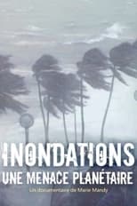 Poster de la película Inondations : une menace planétaire