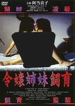 Poster de la película Young Lady Sisters