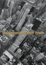 Poster de la película Underground New York