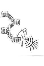 Poster de la película Trilha Sonora para Cegos