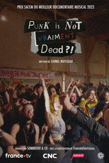 Poster de la película Punk is not vraiment dead ?!