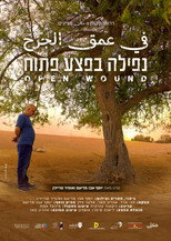 Poster de la película Open Wound