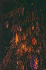 Poster de la película Glare