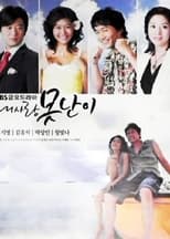 Poster de la serie My Lovely Fool