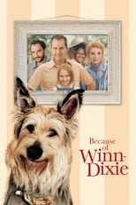 Poster de la película Because of Winn-Dixie