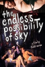 Poster de la película The Endless Possibility of Sky