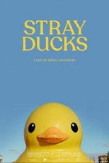 Poster de la película Stray Ducks
