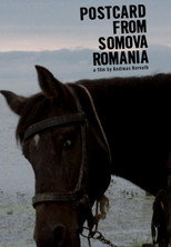 Poster de la película Postcard from Somova, Romania