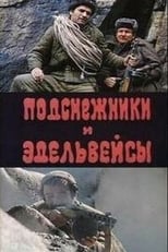 Poster de la película Подснежники и эдельвейсы