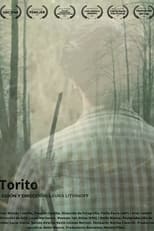 Poster de la película Torito