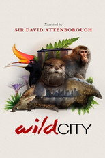 Poster de la serie Wild City