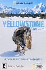Poster de la serie The Yellowstone Collection