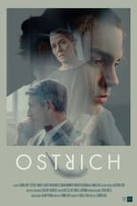 Poster de la película Ostrich