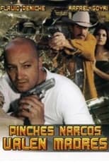 Poster de la película Pinches narcos... valen madre