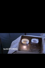 Poster de la película Suncatchers