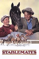 Poster de la película Stablemates