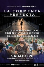 Poster de la película La tormenta perfecta