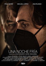 Poster de la película Una noche fría