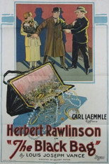 Poster de la película The Black Bag