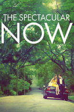 Poster de la película The Spectacular Now