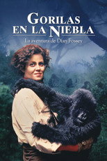 Poster de la película Gorilas en la niebla
