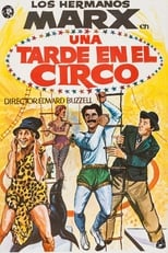 Poster de la película Una tarde en el circo