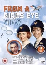 Poster de la serie From a Bird's Eye View